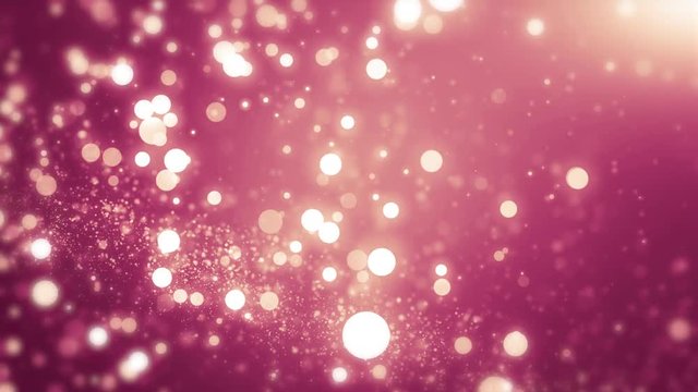 Pink light shine particles bokeh, holiday concept. Christmas animated golden background with circles and stars. Space background. Seamless loop.