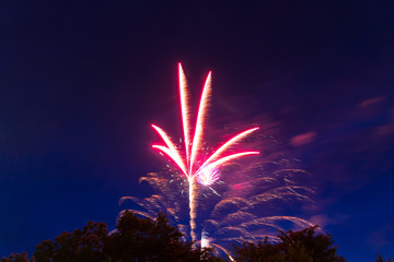 Fireworks display for Independence Day shaped like a marijuana plant