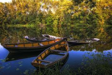 Group of Old Small Boat Sink in The Lake ok Wilanow Park - Half-submerged old boat on lake