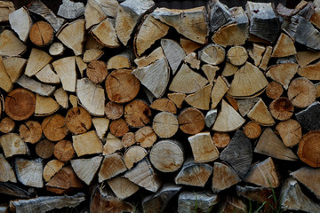 Holzstapel mit verschiedenen Holzarten und Formen