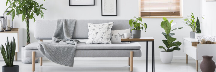Grey lounge with blanket and pillows standing in real photo of white living room interior with...