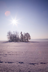 Polska zima mróz krajobraz drzewa słońce