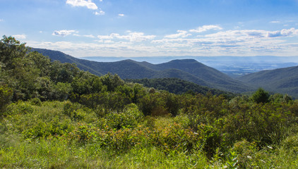 Fototapeta na wymiar The Shenandoah Valley from a lookout at Skyline Drive with wild flowers