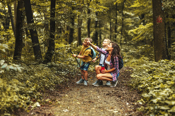 Mother and her little sons hiking trough forest .They learning about animal and plant life. - obrazy, fototapety, plakaty