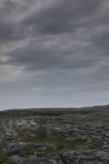 Fototapeta na wymiar Die Felslandschaft des Burren - Irland