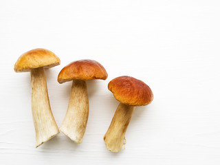 Autumn fresh boletus mushrooms. Forest cepes on a white surface of a table, close up. 