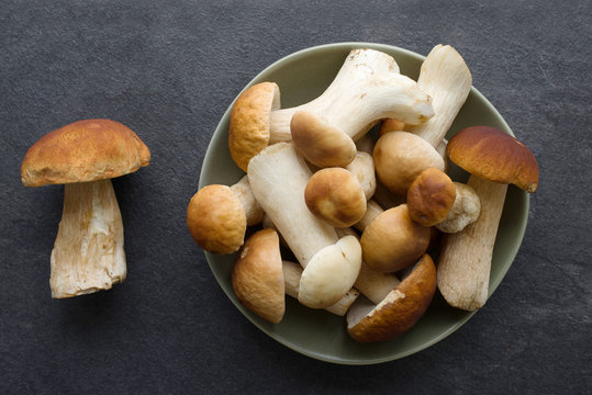 Autumn fresh boletus mushrooms in a plate on a dark surface of a table, close up. Forest cepes 