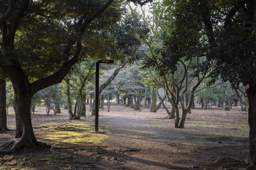 parc arboré
