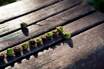 公園のベンチ 夕暮れ