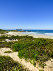 A view of beautiful Praia da Galheta (Galheta beach) in Florianopolis, Brazil
