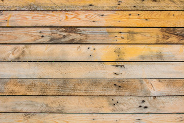 heartwood The Wood surface for background