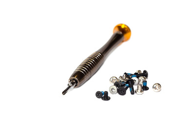 A small cross screwdriver with a lot of different black and silvery bolts