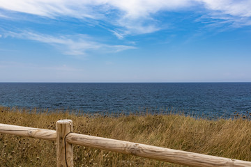 Fototapeta premium grass with sea in the background