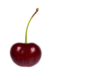 Sweet ripe cherry isolated on white background, copy space template
