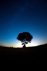 Nocne rozgwieżdżone niebo Polska kaszuby © Dariusz