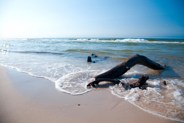 Czołpino plaża Morze Bałtyckie - obrazy, fototapety, plakaty