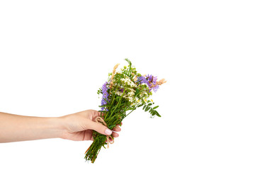 Wildflower tied in a bunch with hand isolated on the white background, copy space template.