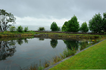 Fototapeta na wymiar Landscape water pond nature scenic green