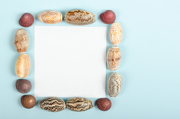Flat lay concept of summer travel vacations, top view of seashells a on pastel blue background with copy space in minimal style, greeting card template