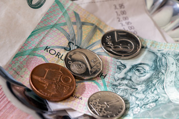 Tipping in Czech. Tray with bill, money and tips