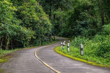 Road in forest in Thailand