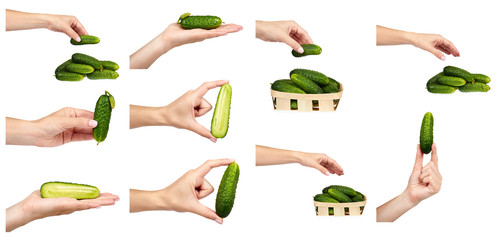 set of different Fresh green cucumber with hand and package isolated on the white background