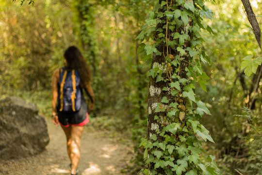 A woman hinking in the forest with a back bag