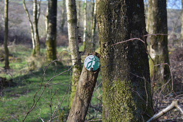'Walkers Welcome' sign propped against a tree