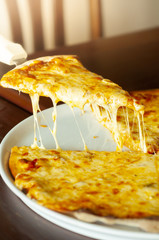 Slice of cheesy pizza
