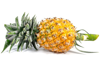 Whole pineapple isolated on white background.Pineapple with stem isolated