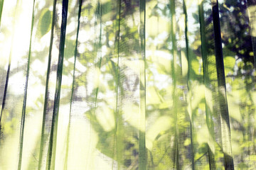 Fototapeta na wymiar The green see-through curtains. Visible shadow behind leaves. background.