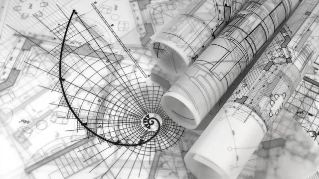 rolls of blueprints - drawing of the golden section and drawings of antique decorative elements of architectural orders / seamless looping	