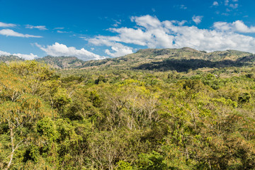 A typical view at Copan Ruins in Honduras.
