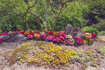 flower bed with rocks