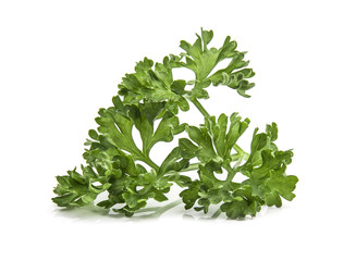 Fototapeta premium Parsley isolated on white background