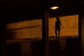 The shadow of a prostitute on the brick wall.