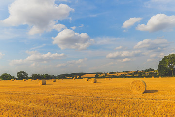 Summer Time - Woodend - UK