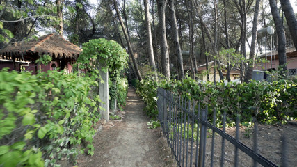 Narrow foliage passage amoung camping wooden houses in the forest