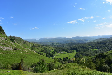 Fototapeta na wymiar In a valley in the Lake District