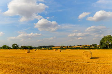 Summer Time - Woodend - UK
