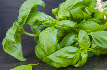 culinary spices, fresh green basil