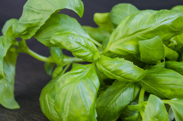 culinary spices, fresh green basil