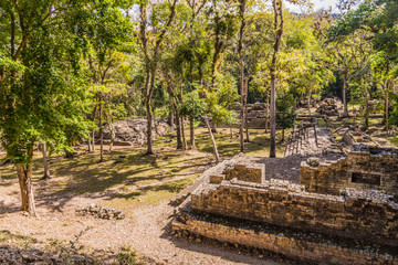 Fototapeta na wymiar A typical view at Copan Ruins in Honduras.