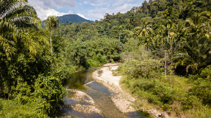 Fototapeta na wymiar Low drone image of a river running through tropical rainforest