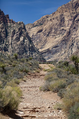 Fototapeta na wymiar Red Rock Canyon Nevada