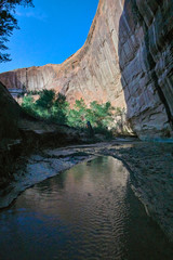 Towering, Canyon Walls in Coyote Gulch, Escalante and Glen Canyon National Monuments