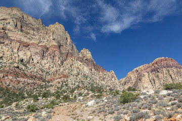 Fototapeta premium Red Rock Canyon Nevada