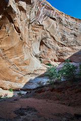 Towering, Canyon Walls in Coyote Gulch, Escalante and Glen Canyon National Monuments
