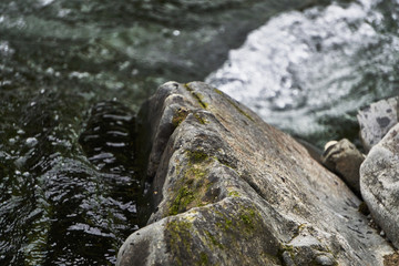 Mossy Rocks in a clear Rocky Mountain Stream