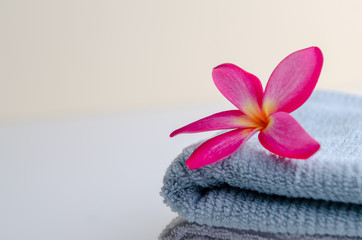 Fototapeta na wymiar pink flower and soft towel on light background